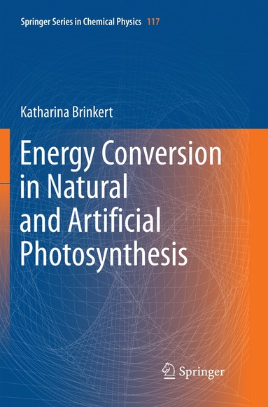 bokomslag Energy Conversion in Natural and Artificial Photosynthesis