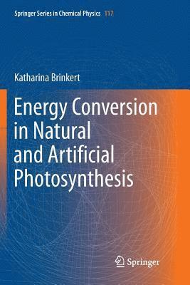 Katharina Brinkert - Energy Conversion in Natural and Artificial Photosynthesis, Häftad