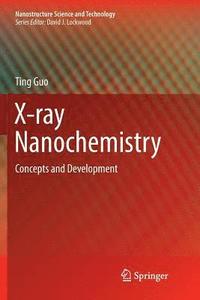 bokomslag X-ray Nanochemistry