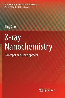 bokomslag X-ray Nanochemistry