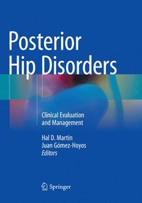 bokomslag Posterior Hip Disorders