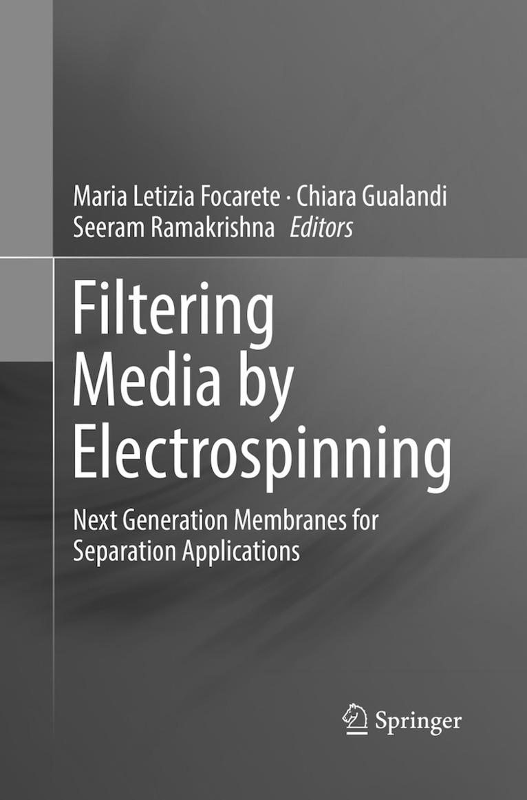 Maria Letizia Focarete, Chiara Gualandi, Seeram Ramakrishna - Filtering Media by Electrospinning, Häftad