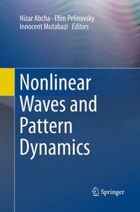 bokomslag Nonlinear Waves and Pattern Dynamics