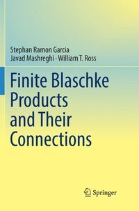 bokomslag Finite Blaschke Products and Their Connections