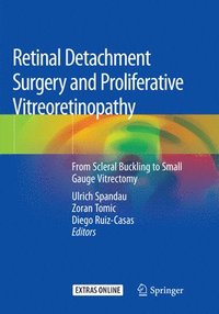 bokomslag Retinal Detachment Surgery and Proliferative Vitreoretinopathy