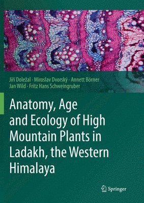 bokomslag Anatomy, Age and Ecology of High Mountain Plants in Ladakh, the Western Himalaya