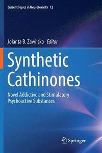 bokomslag Synthetic Cathinones
