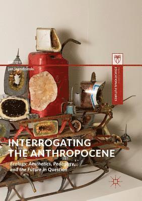 bokomslag Interrogating the Anthropocene