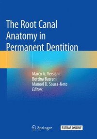 bokomslag The Root Canal Anatomy in Permanent Dentition