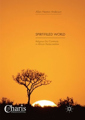 bokomslag Spirit-Filled World