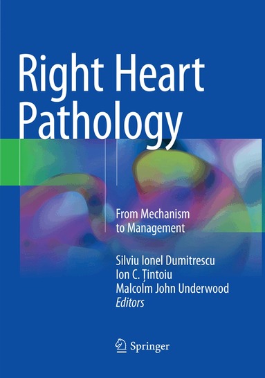 Silviu Ionel Dumitrescu, Ion C. Ţintoiu, Malcolm John Underwood - Right Heart Pathology, Häftad