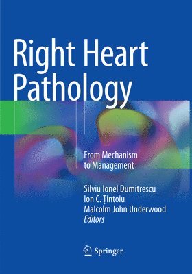 bokomslag Right Heart Pathology