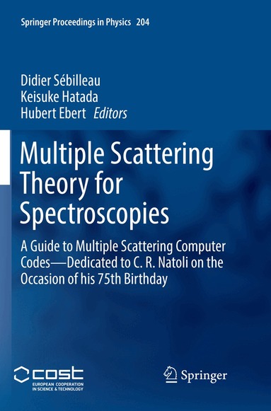 Didier Sébilleau, Keisuke Hatada, Hubert Ebert - Multiple Scattering Theory for Spectroscopies, Häftad