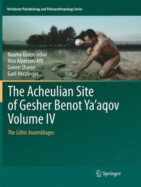 bokomslag The Acheulian Site of Gesher Benot Yaaqov Volume IV