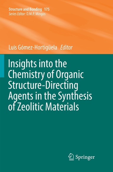 Luis Gómez-Hortigüela - Insights into the Chemistry of Organic Structure-Directing Agents in the Synthesis of Zeolitic Materials, Häftad