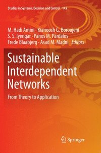 bokomslag Sustainable Interdependent Networks