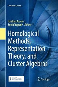 bokomslag Homological Methods, Representation Theory, and Cluster Algebras