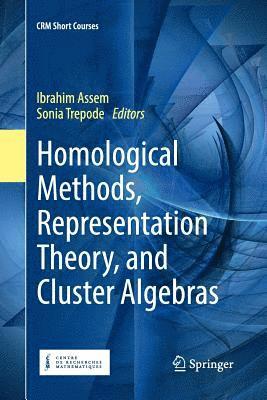 bokomslag Homological Methods, Representation Theory, and Cluster Algebras