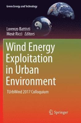 Lorenzo Battisti, Mosè Ricci, Mose Ricci - Wind Energy Exploitation in Urban Environment, Häftad
