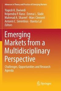 bokomslag Emerging Markets from a Multidisciplinary Perspective