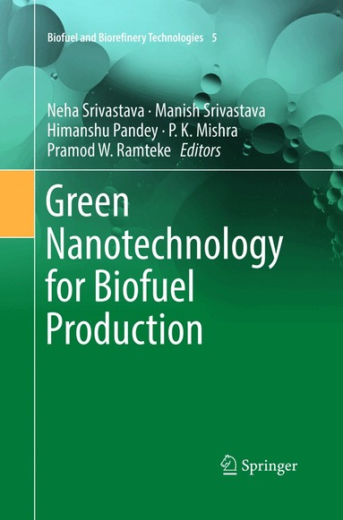 Neha Srivastava, Manish Srivastava, Himanshu Pandey, P. K. Mishra, Pramod W. Ramteke - Green Nanotechnology for Biofuel Production, Häftad