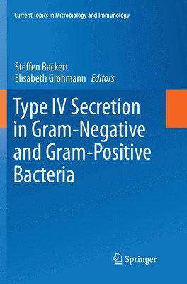 Steffen Backert, Elisabeth Grohmann - Type IV Secretion in Gram-Negative and Gram-Positive Bacteria, Häftad