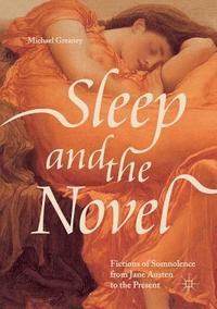 bokomslag Sleep and the Novel