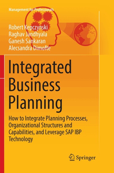 Robert Kepczynski, Raghav Jandhyala, Ganesh Sankaran, Alecsandra Dimofte - Integrated Business Planning, Häftad
