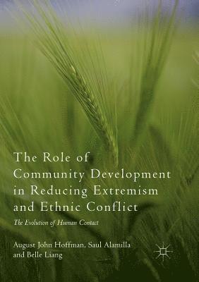 bokomslag Role of Community Development in Reducing Extremism and Ethnic Conflict