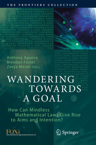 Anthony Aguirre, Brendan Foster, Zeeya Merali - Wandering Towards a Goal, Häftad