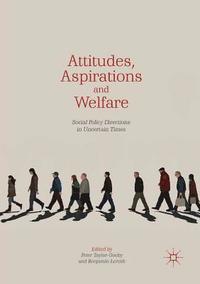 bokomslag Attitudes, Aspirations and Welfare