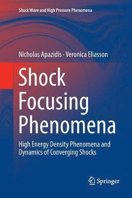 bokomslag Shock Focusing Phenomena