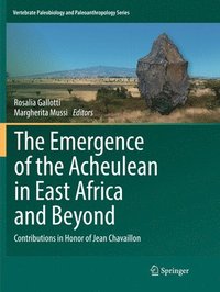 bokomslag The Emergence of the Acheulean in East Africa and Beyond