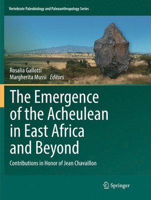 bokomslag The Emergence of the Acheulean in East Africa and Beyond