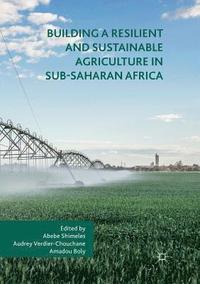 bokomslag Building a Resilient and Sustainable Agriculture in Sub-Saharan Africa