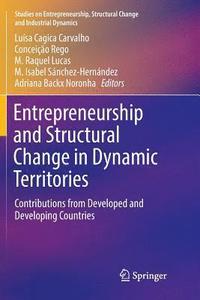 bokomslag Entrepreneurship and Structural Change in Dynamic Territories