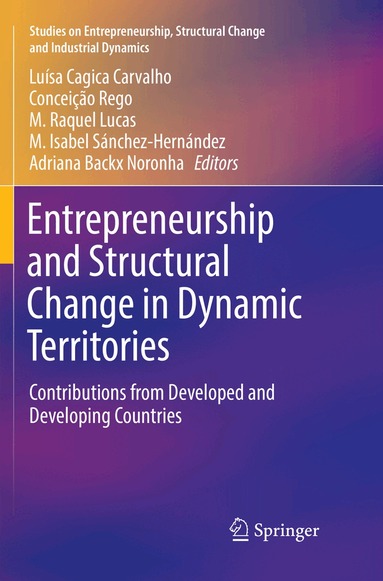 Luísa Cagica Carvalho, Conceição Rego, M.Raquel Lucas, M. Isabel Sánchez-Hernández, Adriana Backx Noronha - Entrepreneurship and Structural Change in Dynamic Territories, Häftad