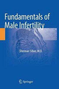 bokomslag Fundamentals of Male Infertility