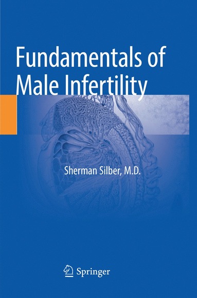 bokomslag Fundamentals of Male Infertility