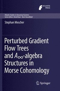 bokomslag Perturbed Gradient Flow Trees and A-algebra Structures in Morse Cohomology