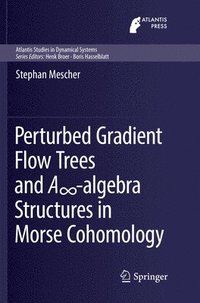 bokomslag Perturbed Gradient Flow Trees and A?-algebra Structures in Morse Cohomology