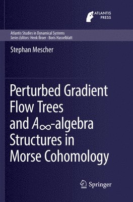 Perturbed Gradient Flow Trees and A∞-algebra Structures in Morse Cohomology