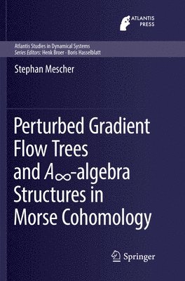 Perturbed Gradient Flow Trees and A-algebra Structures in Morse Cohomology 1