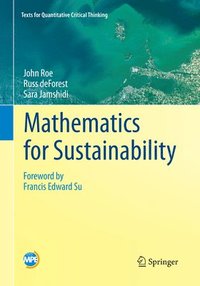bokomslag Mathematics for Sustainability