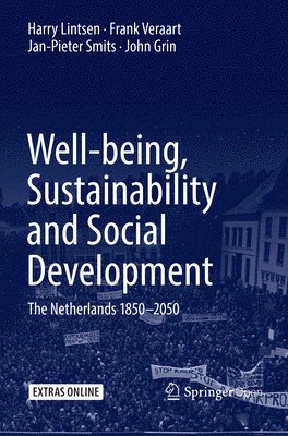 bokomslag Well-being, Sustainability and Social Development
