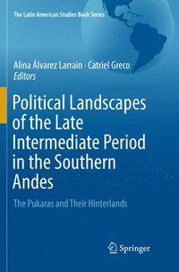 bokomslag Political Landscapes of the Late Intermediate Period in the Southern Andes
