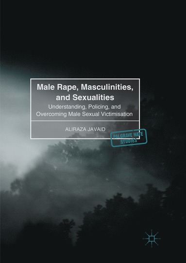 bokomslag Male Rape, Masculinities, and Sexualities