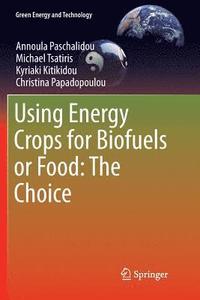 bokomslag Using Energy Crops for Biofuels or Food: The Choice
