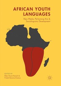 bokomslag African Youth Languages