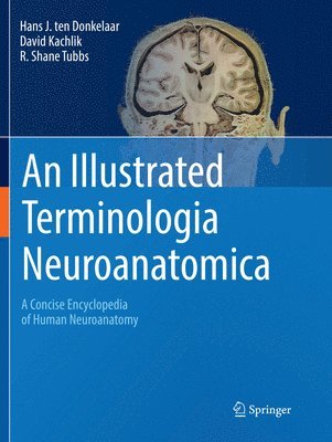 Hans J. ten Donkelaar, David Kachlík, R. Shane Tubbs, Hans J. Ten Donkelaar - Illustrated Terminologia Neuroanatomica, Häftad